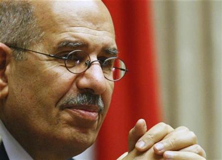 ElBaradei Calls for Brotherhood to be Included in Egypt Transition

